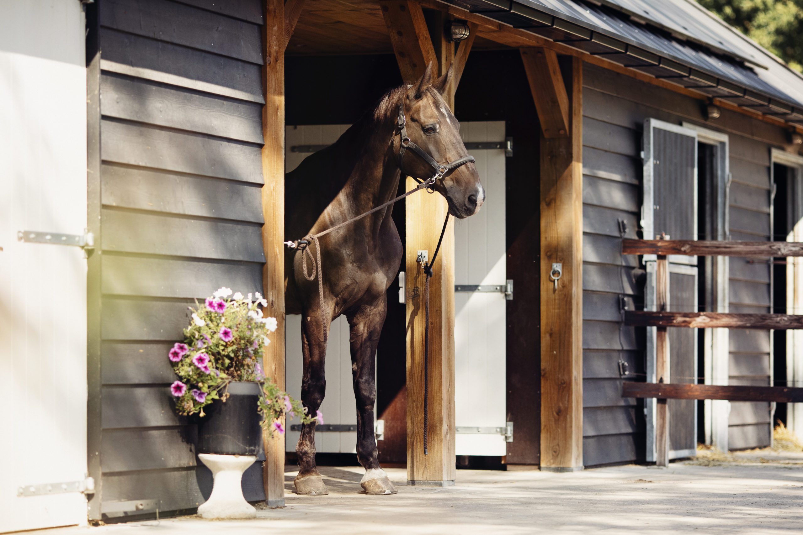 Paardenhotel Putten